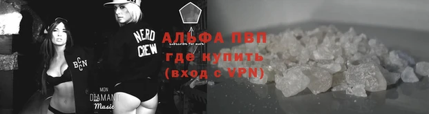 прущая мука Покачи