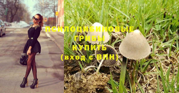 прущая мука Покачи